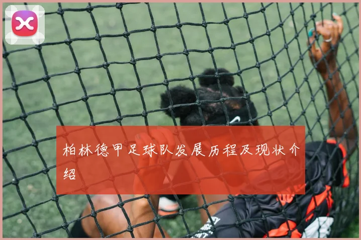 柏林德甲足球队发展历程及现状介绍