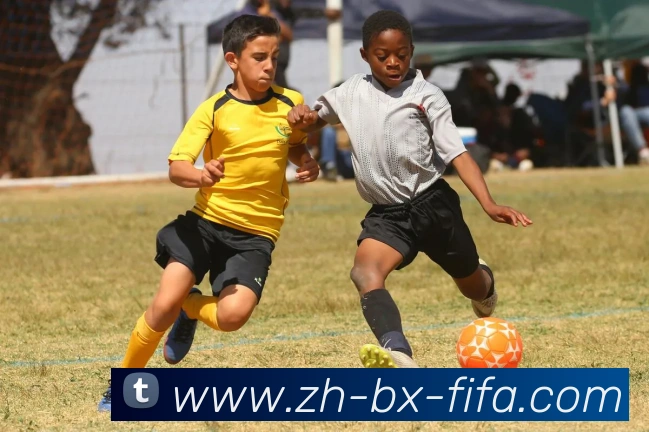 世界杯赛程APP 高清赛事图